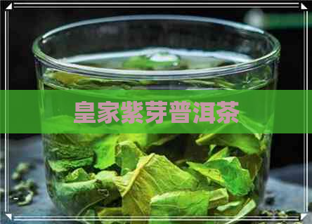 皇家紫芽普洱茶