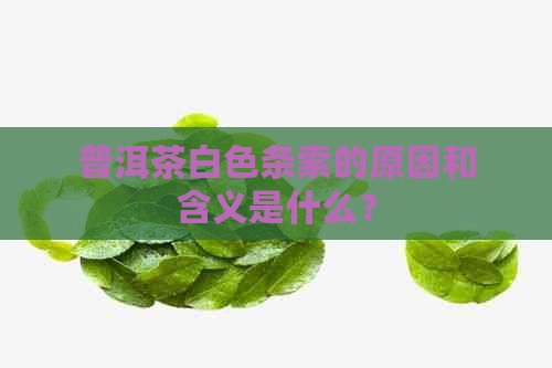 普洱茶白色条索的原因和含义是什么？