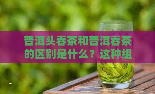 普洱头春茶和普洱春茶的区别是什么？这种组合的茶叶品质如何？