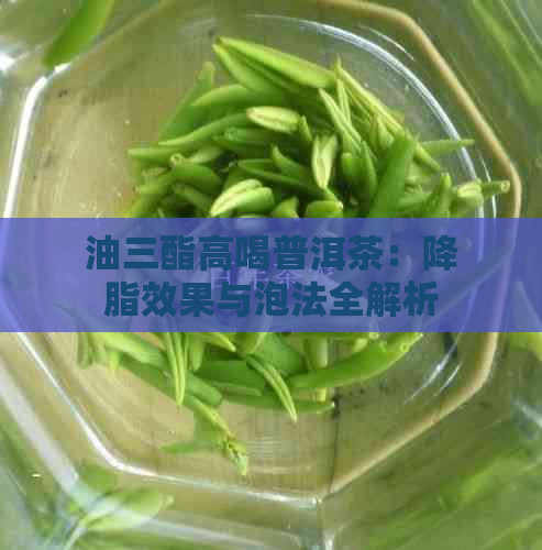 油三酯高喝普洱茶：降脂效果与泡法全解析