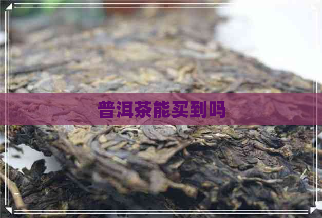 普洱茶能买到吗