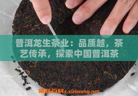 普洱龙生茶业：品质越，茶艺传承，探索中国普洱茶的无限魅力