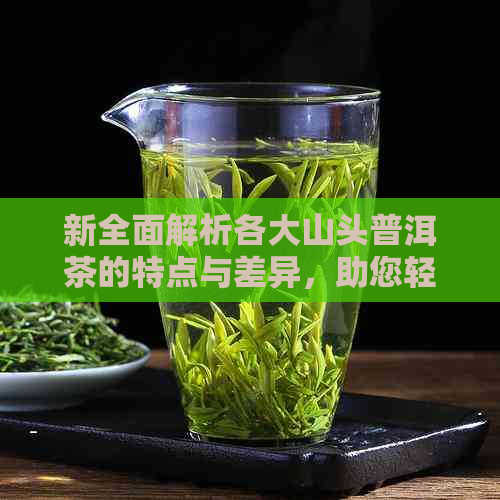 新全面解析各大山头普洱茶的特点与差异，助您轻松挑选适合自己的茶叶