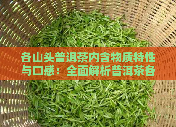 各山头普洱茶内含物质特性与口感：全面解析普洱茶各大山头的基本特性和口感