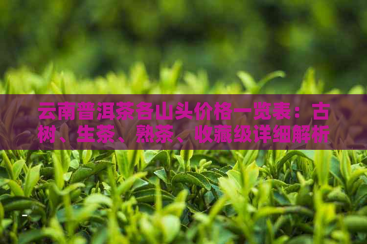 云南普洱茶各山头价格一览表：古树、生茶、熟茶、收藏级详细解析