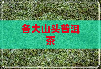 各大山头普洱茶