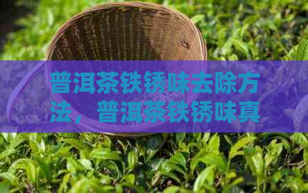 普洱茶铁锈味去除方法，普洱茶铁锈味真实性讨论，怪味原因揭秘