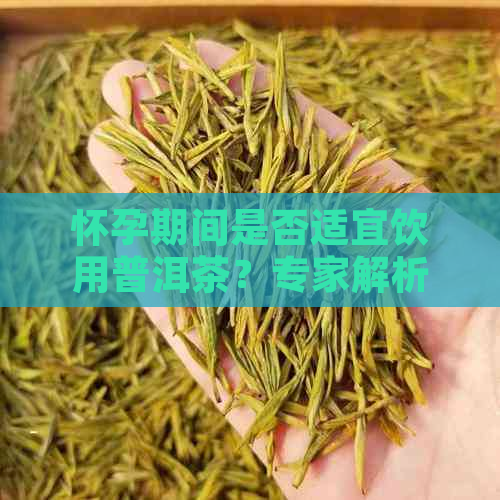 怀孕期间是否适宜饮用普洱茶？专家解析与注意事项