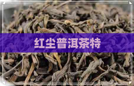 红尘普洱茶特