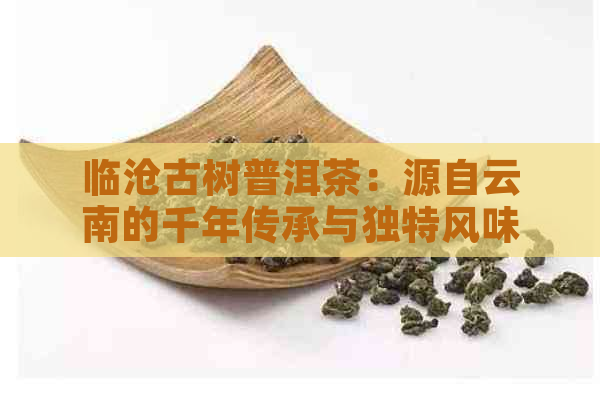 临沧古树普洱茶：源自云南的千年传承与独特风味