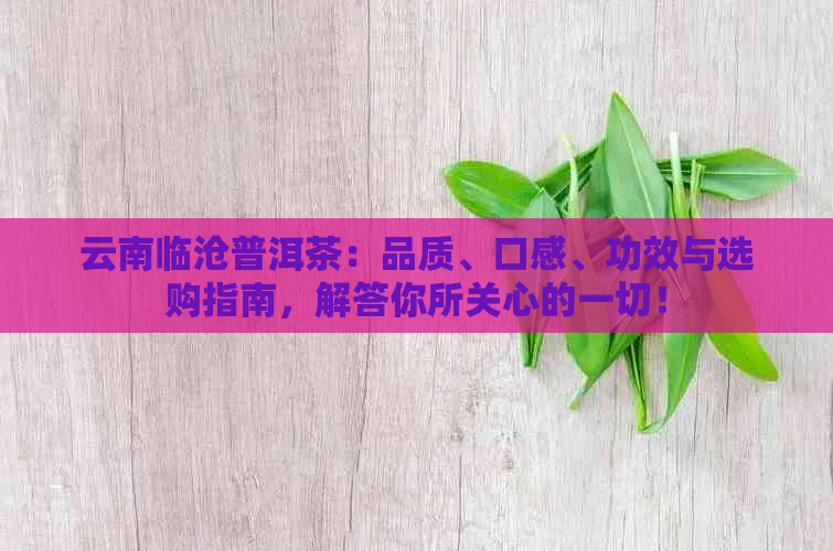 云南临沧普洱茶：品质、口感、功效与选购指南，解答你所关心的一切！