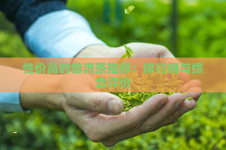 性价高的普洱茶推荐：排行榜与综合评价