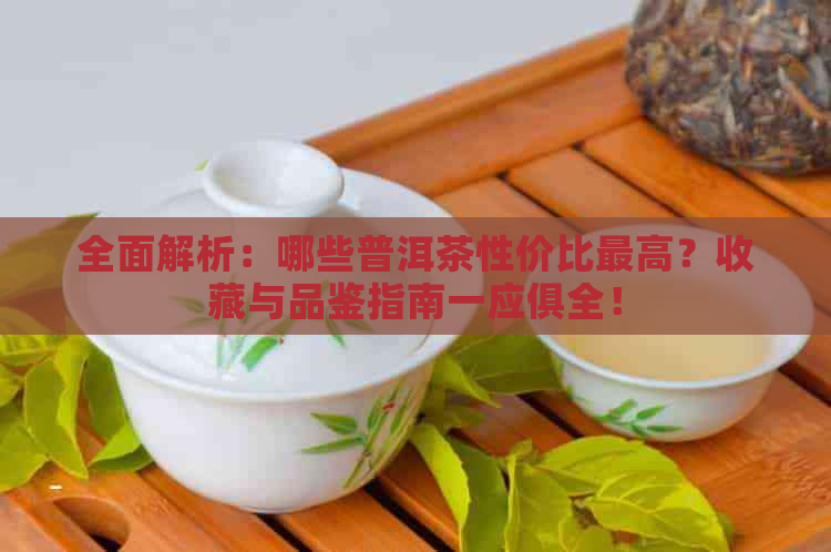 全面解析：哪些普洱茶性价比更高？收藏与品鉴指南一应俱全！