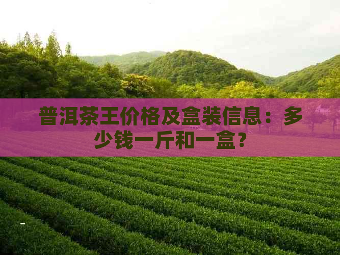 普洱茶王价格及盒装信息：多少钱一斤和一盒？