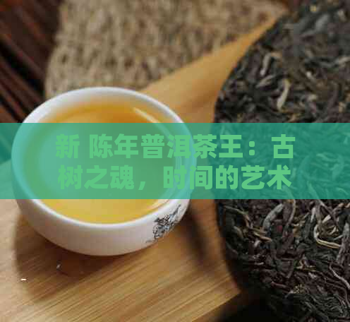 新 陈年普洱茶王：古树之魂，时间的艺术