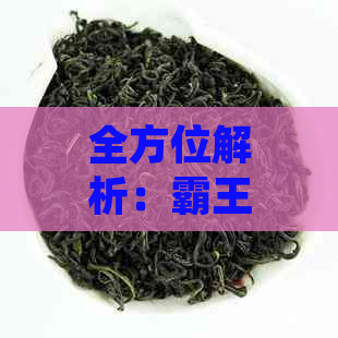 全方位解析：霸王普洱茶的口感特征与品鉴技巧，助您深入了解这款茶叶的魅力