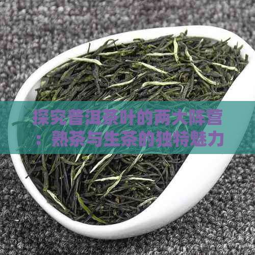 探究普洱茶叶的两大阵营：熟茶与生茶的独特魅力与区别