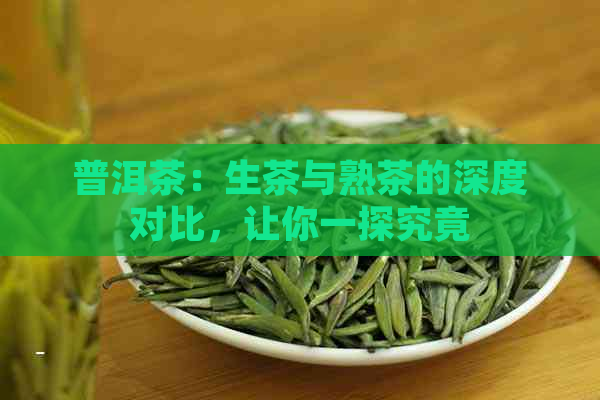 普洱茶：生茶与熟茶的深度对比，让你一探究竟