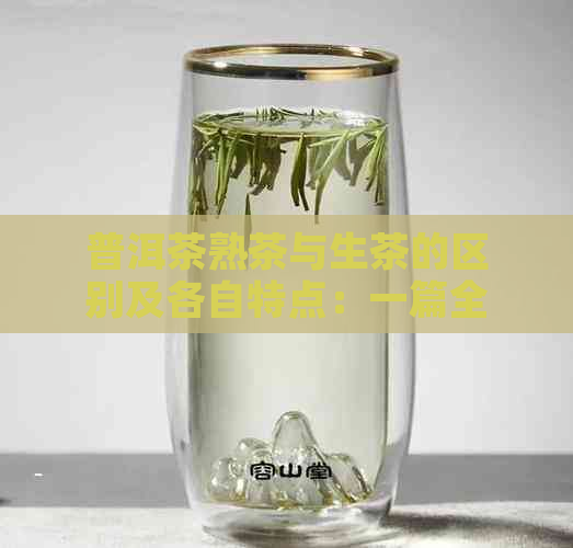 普洱茶熟茶与生茶的区别及各自特点：一篇全面解答用户疑问的文章