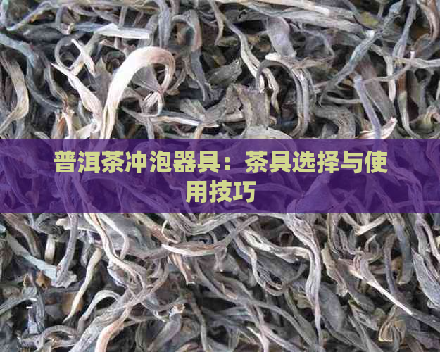 普洱茶冲泡器具：茶具选择与使用技巧