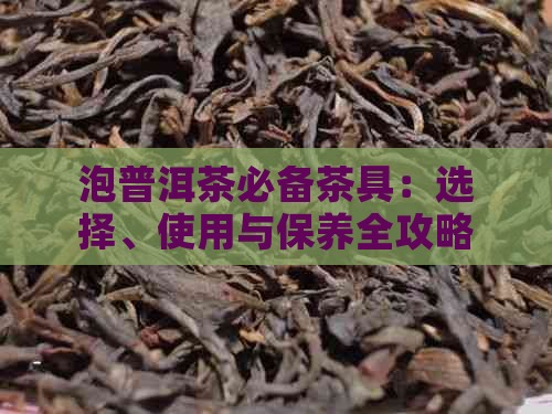 泡普洱茶必备茶具：选择、使用与保养全攻略