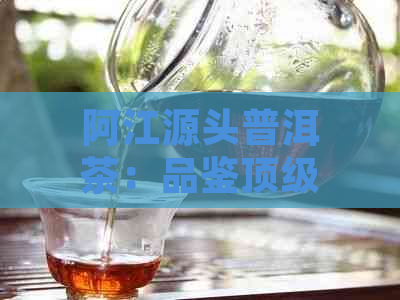 阿江源头普洱茶：品鉴顶级古树茶，感受千年陈香的魅力。