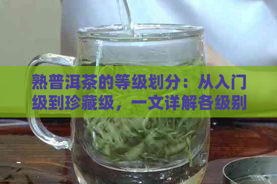 熟普洱茶的等级划分：从入门级到珍藏级，一文详解各级别的特点和品鉴方法