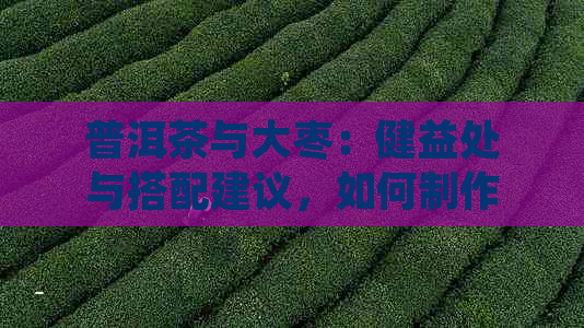 普洱茶与大枣：健益处与搭配建议，如何制作口感？