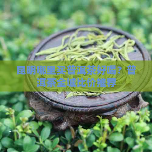 昆明哪里买普洱茶好喝？普洱茶全城比价推荐