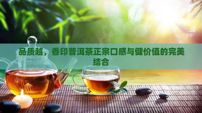 品质越，香印普洱茶正宗口感与健价值的完美结合