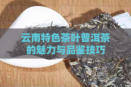 云南特色茶叶普洱茶的魅力与品鉴技巧