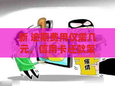 新 逾期费用仅需几元，信用卡还款策略大揭秘