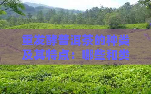 重发酵普洱茶的种类及其特点：哪些和类型值得尝试？