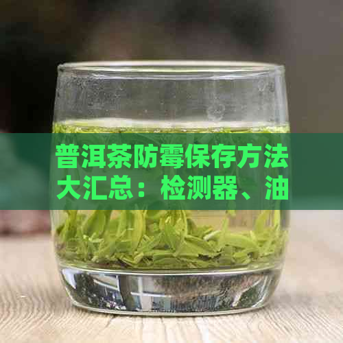 普洱茶防霉保存方法大汇总：检测器、油，全方位保护！