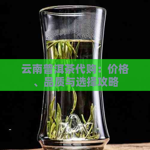 云南普洱茶代购：价格、品质与选择攻略