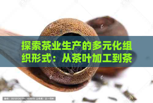 探索茶业生产的多元化组织形式：从茶叶加工到茶业文库的全面解析