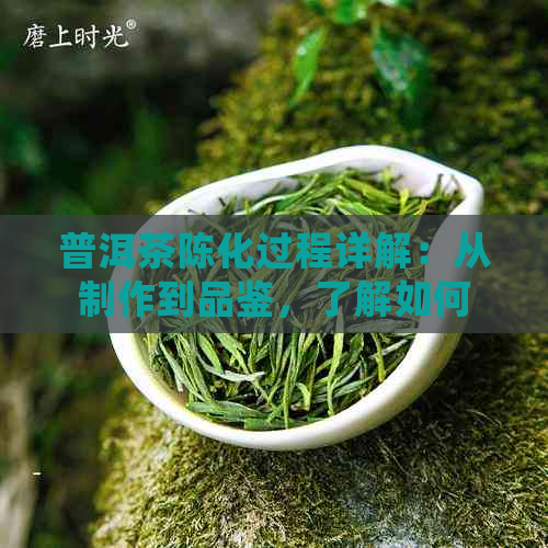 普洱茶陈化过程详解：从制作到品鉴，了解如何让普洱茶变得更好喝