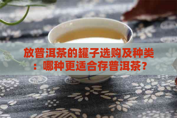 放普洱茶的罐子选购及种类：哪种更适合存普洱茶？