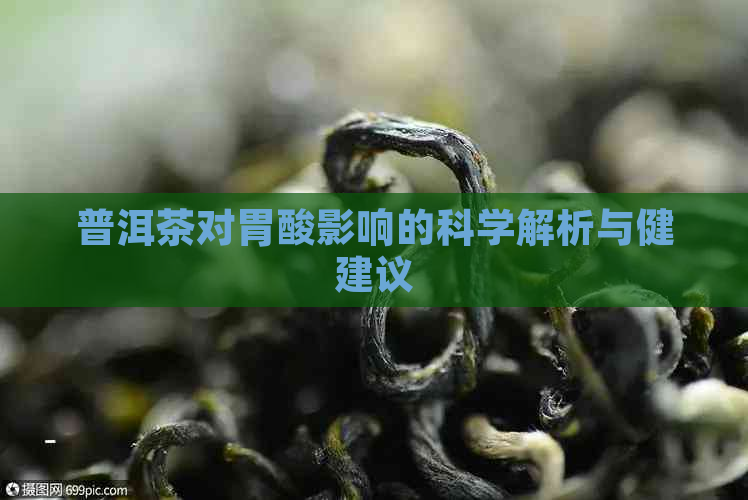 普洱茶对胃酸影响的科学解析与健建议