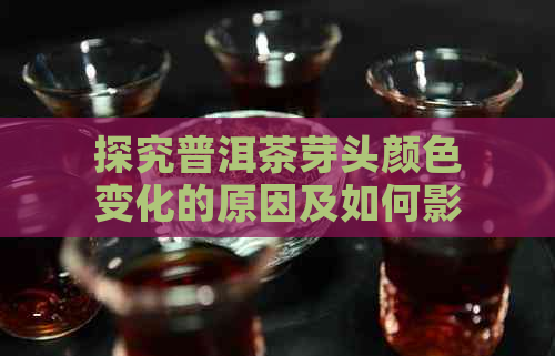 探究普洱茶芽头颜色变化的原因及如何影响茶叶品质