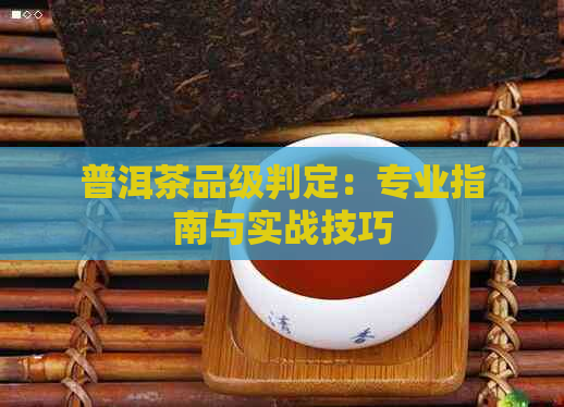 普洱茶品级判定：专业指南与实战技巧