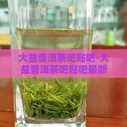 大益普洱茶吧贴吧-大益普洱茶吧贴吧最新消息