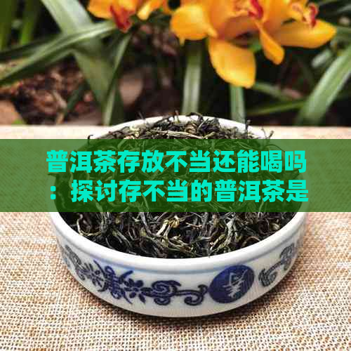 普洱茶存放不当还能喝吗：探讨存不当的普洱茶是否安全饮用