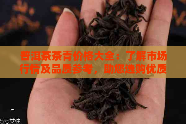 普洱茶茶青价格大全：了解市场行情及品质参考，助您选购优质茶叶