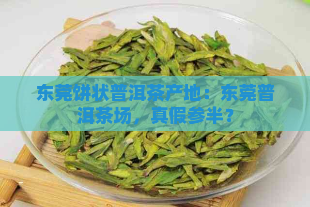 东莞饼状普洱茶产地：东莞普洱茶场，真假参半？