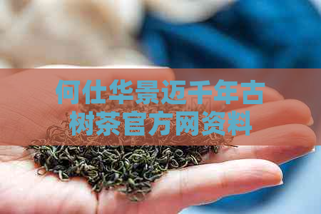 何仕华景迈千年古树茶官方网资料