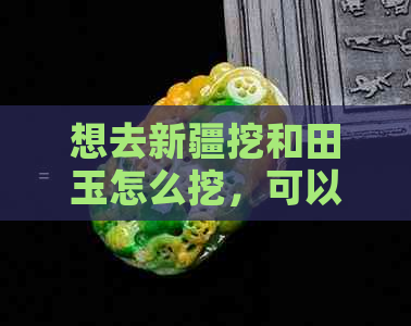 想去新疆挖和田玉怎么挖，可以吗？怎么办？赚钱吗？