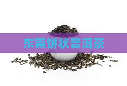 东莞饼状普洱茶