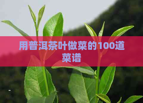 用普洱茶叶做菜的100道菜谱