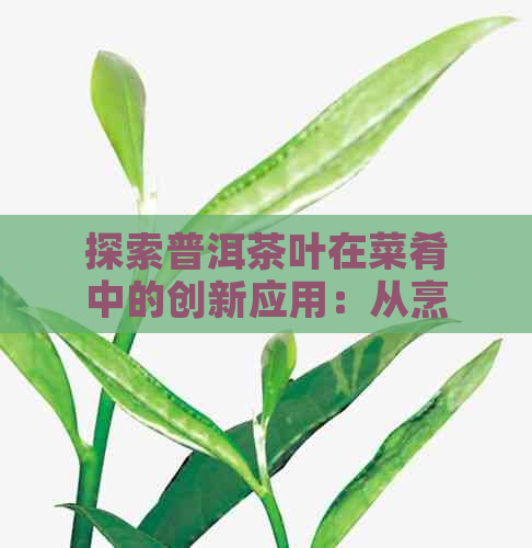 探索普洱茶叶在菜肴中的创新应用：从烹饪技巧到食谱推荐